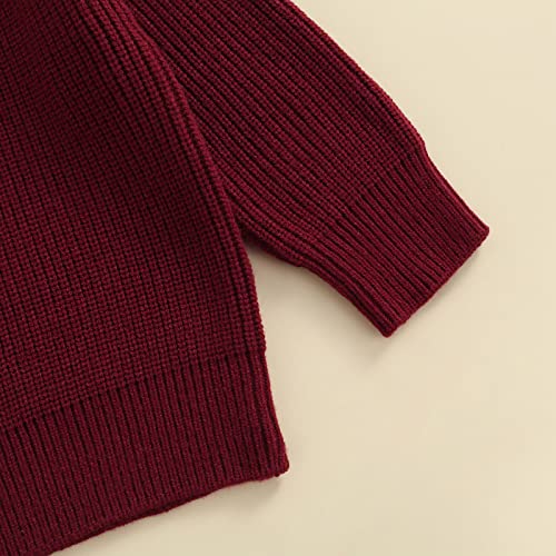 Ciycuit Toddler Baby Girl Boy Sweater Fall Winter Warm Long Sleeve Knit Chunky Oversized Sweater Burgundy 18-24 Months #TOP4