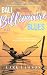 Bali Billionaire Blues: An Erotic Secret Billionaire Story (Riley Reid Travel Confessions Book 5) (English Edition)