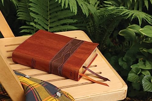 Image of Rooted: The NIV Bible for Men, Leathersoft, Brown, Comfort Print: Shaping Men for Faithful Living in Today's World