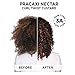 Carol's Daughter Pracaxi Nectar Curl Twist Custard, For All Hair Types, 8 oz (Packaging May Vary)