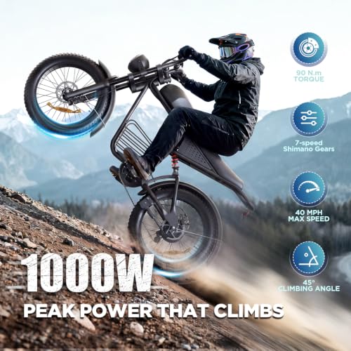 flytor 1000W Fat Tire Ebike