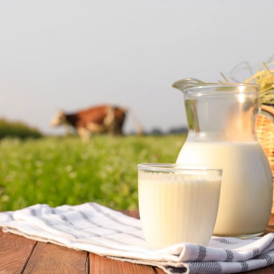 Milch Bärenmarke fettarme H-Milch 1,5% Fett HALTBARE MILCH, je 1 Liter, 60 Stück mit Pufai Grocery