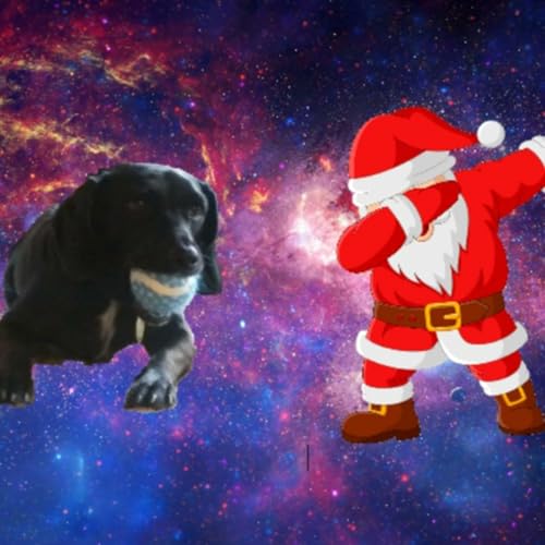 The Adam Challenge Podcast Titelbild