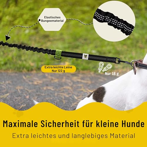 Hundefreund Bungeeteil für Kleine Hunde bis 15 kg passend zur Joggingleine - Dehnbar von 110 bis 160 cm - Ersatzleine oder Verlängerung mit 2 Schlaufen