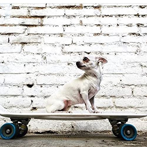 Ridge Big Brother Skate Cruiser Skateboard