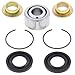 All Balls Racing 29-5009 Rear Shock Bearing Kit Compatible with/Replacement for Suzuki LT 250 R 1991-1992, RM 125, RM 250 1990-1991, RM 80 1990-2001