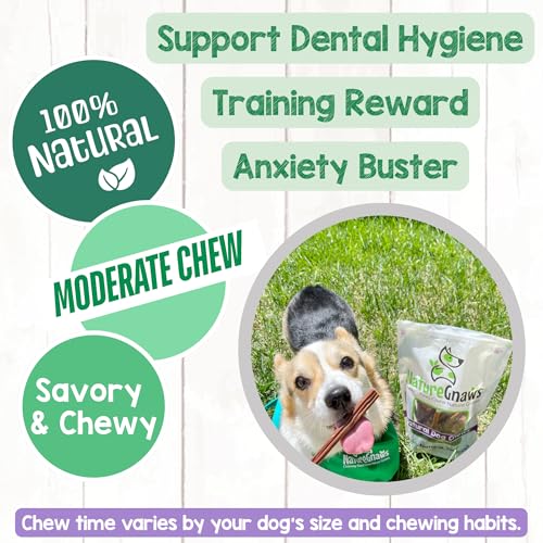 Image of Nature Gnaws Super Skinny Bully Sticks for Small Dogs 5-6 inch (15 Count) - Long Lasting for Light Chewers and Puppies - Extra Thin Natural Beef Dog Chew Treats