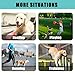 1 Paar Gelenkbandage für Hunde, Hunde Kniebandage, Hunde Gelenkbandage Stützbandage, Hunde Bein Sprunggelenk Wrap, Kniebandage für Hunde, Haustier Schutzausrüstung, Haustier Hunde Handgelenk Bandage