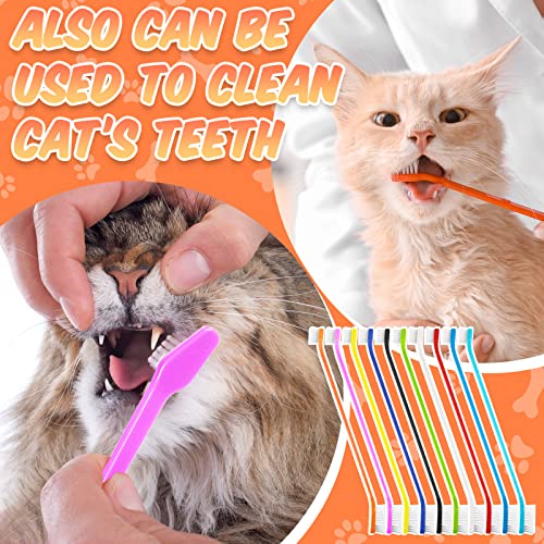 100 Pieces Dog Tooth Brush Pet Toothbrush Soft Grooming Dogs Toothbrush Dog Double Sided Toothbrush Long Handle Tooth Brush For Puppy Pet Large And Small Teeth Cleaning Dental Oral Care, 10 Colors #TOP6