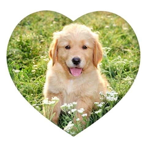 WiHoo Custom Pillows with Your Picture - Personalized Gifts for Loved Ones - Customized Pillow Optional Insert (18Inch X 18 Inch) Cover