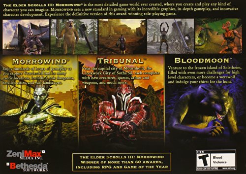 The Elder Scrolls III: Morrowind - PC Game of the Year Edition image 5