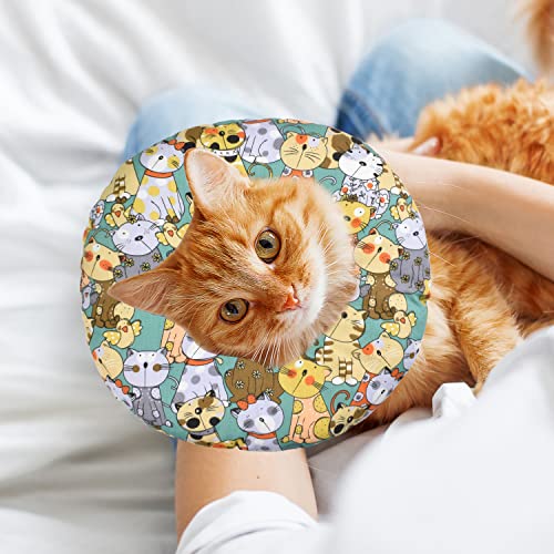 Collare Protettivo per Gatti Collari Protettivi