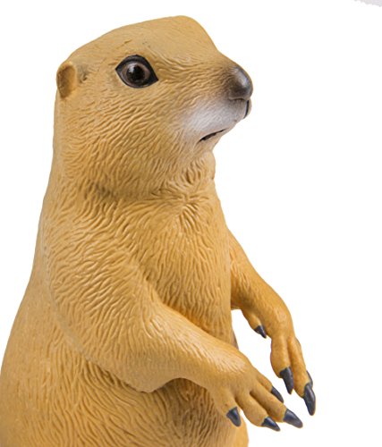 Perro de las praderas Safari Ltd miniatura animal para educación 6