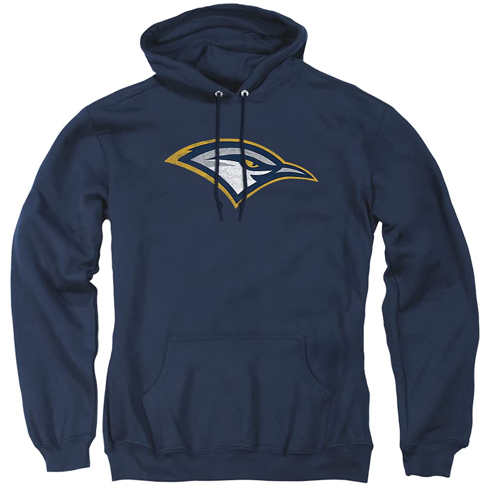 LOGOVISION Official Collegiate Distressed Primary Logo Adult Pullover Hoodie Collection — view 449