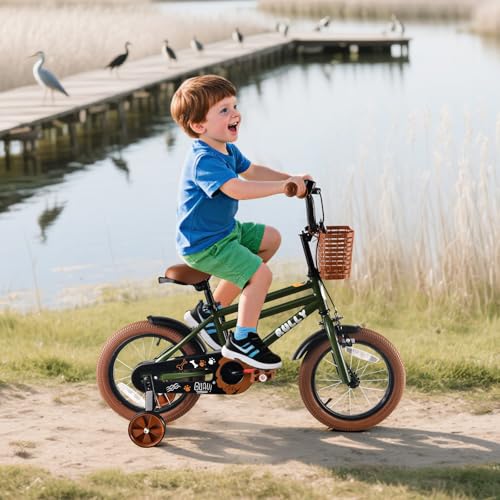 Image of RULLY 12 14 16 Inch Boys' Bike for Kids Ages 2-6, Toddler Bicycle with Training Wheels, Coaster Brake & Handbrake, and Front Basket(Blue Black Green)