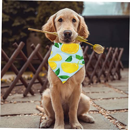 HYTROVE Haustier Bandana Hundehalstuch Aus Baumwolle Mit Fruchtdesign Leicht Anzulegen Für Katzen Und Hunde Haustierzubehör Für Alltag Und Party