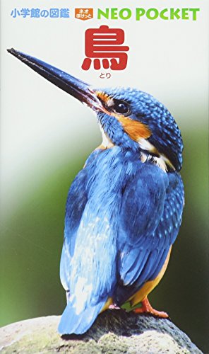 鳥 (小学館の図鑑 NEOポケット)