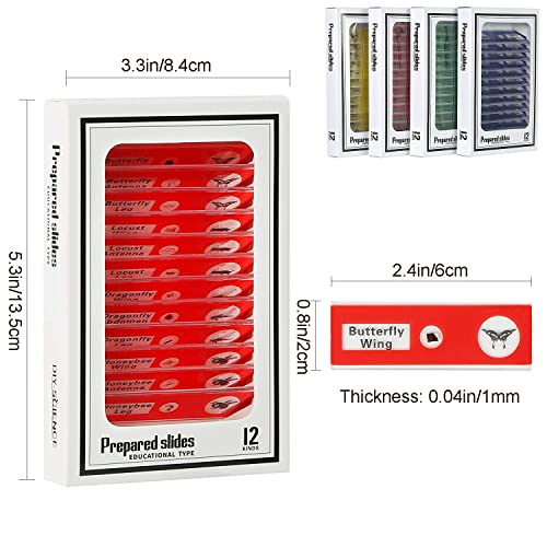 Ninyoon 48pcs Mikroskop Objektträger mit Proben für Kinder - Kinder präpariert Mikroskop Objektträger für Mikroskop, Tiere Insekten Pflanzen Blumen Proben