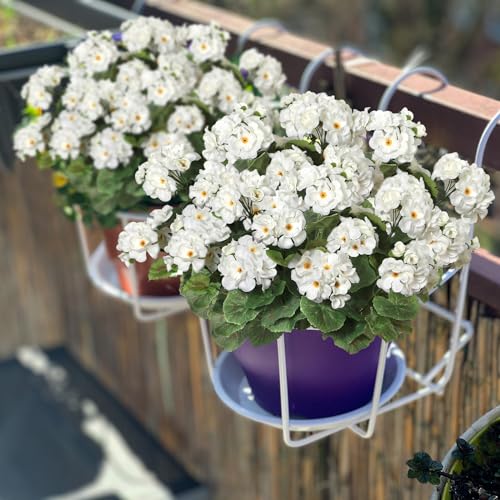 Dremisland 6 Pack Artificial Geranium Flowers for Outdoors White Geranium Silk Flowers Outdoor UV Resistant Garden Plants Bush Faux Flowers for Home Wedding Table Centerpieces Deco image 3