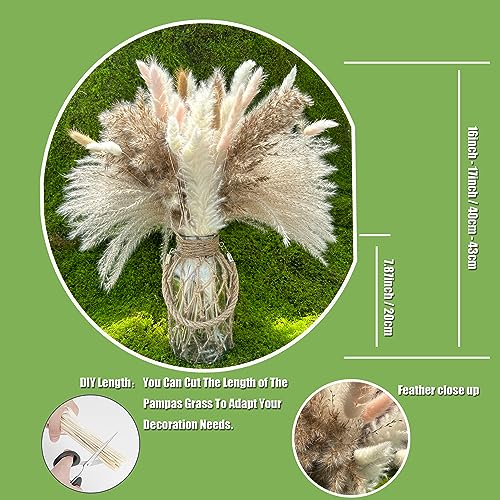 Dried Pampas Grass Decor 107 pcs Boho Home Decor miniatura 4