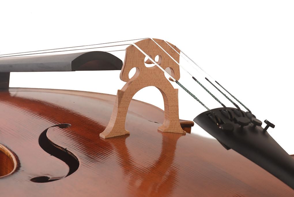 【良質・良音】MADE IN HUNGARY チェロ 4/4 Amazon.com: Yitamusic! Handmade 4/4 Cello Fine advanced model