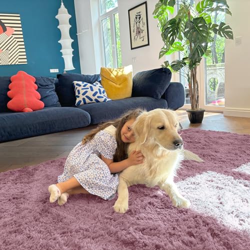 OLANLY 5x8 Machine Washable Large Area Rugs for Living Room, Bedroom, Soft Fluffy Shaggy Bedside Rug, Indoor Floor Carpet for Kids Girls and Boys, Dorms, Nursery, Home Decor Aesthetic, Blush