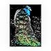 Peacock at Night by Dana Brett Munach, 24x32-Inch Canvas Wall Art