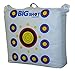 BIGSHOT Outdoor Range Field Point Bag Target