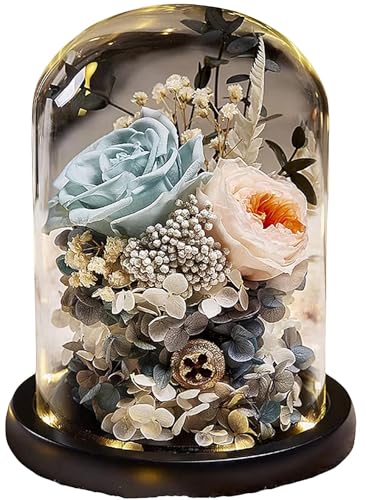 YatomevU[uht[  dp    v[g ybg  ~ 䋟  Q d  r͂ r [Y ledCgt AWg   ~ (14*20cm,