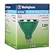 Westinghouse 3314900 100-Watt Equivalent PAR38 Flood Green Outdoor Weatherproof LED Light Bulb with Medium Base, Single Green 33149