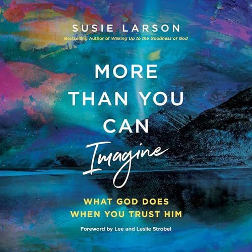 Page de couverture de More Than You Can Imagine