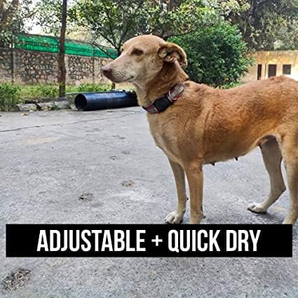 0 Agirav Reflective Dog Collar For Small, Medium, Large Dogs, Super Light Weight Collars With Adjustable Length And Heavy Duty Metal D Ring (Pack Of 5, Multicolor),15 cm,W_5 cm (Image - 4)