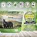 Silver Lining Herbs Horse Joint Support Supplement - Joint Complex, Mobility & Comfort Horse Supplements - Equinety Supplement with Natural Herbal Blend of Ginger, Burdock & More - 5 lb (300 Servings)