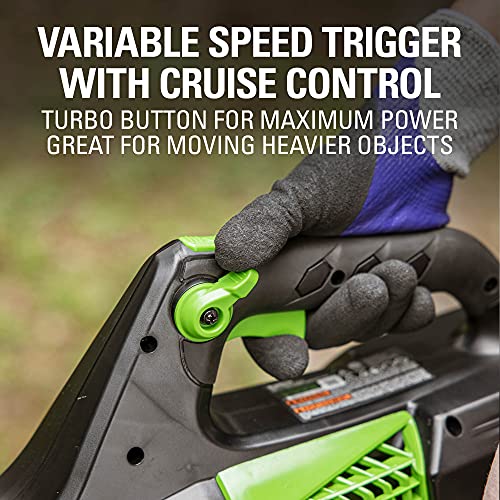 Image of Greenworks 80V Electric Leaf Blower, 500 CFM, 2.0 Ah Battery and Charger