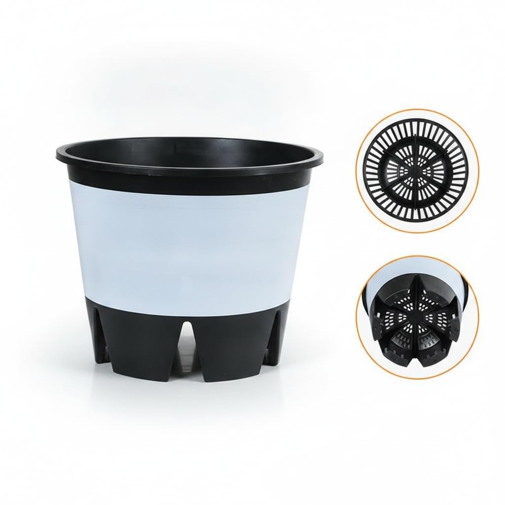 Grand pot de fleur pour jardin : cultiver des myrtilles sur la terrasse