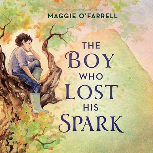 The Boy Who Lost His Spark - Maggie O'Farrell, Daniela Jaglenka Terrazzini - illustrator episode artwork