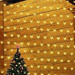 SALCAR – SALCAR 2x3m Anti-Rost LED Lichternetz Außen, Buchsbaum Licht
