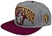 Bioworld Harry Potter - Gryffindor Snapback Size ONE Size