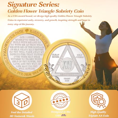 Image of Victory Path 14 Year Sobriety Coin, Affirmation AA Chips, Addiction Recovery Fourteen Years Sober Medallions, Celebrating Anniversary Token, Alcoholics Anonymous Sobriety Gifts for Men Women