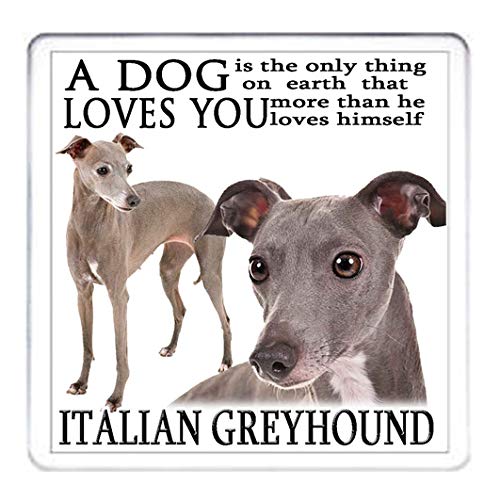 Kazmugz Blue Italian Greyhound Coaster, Greyhound Gift Mug Mat Table Protector