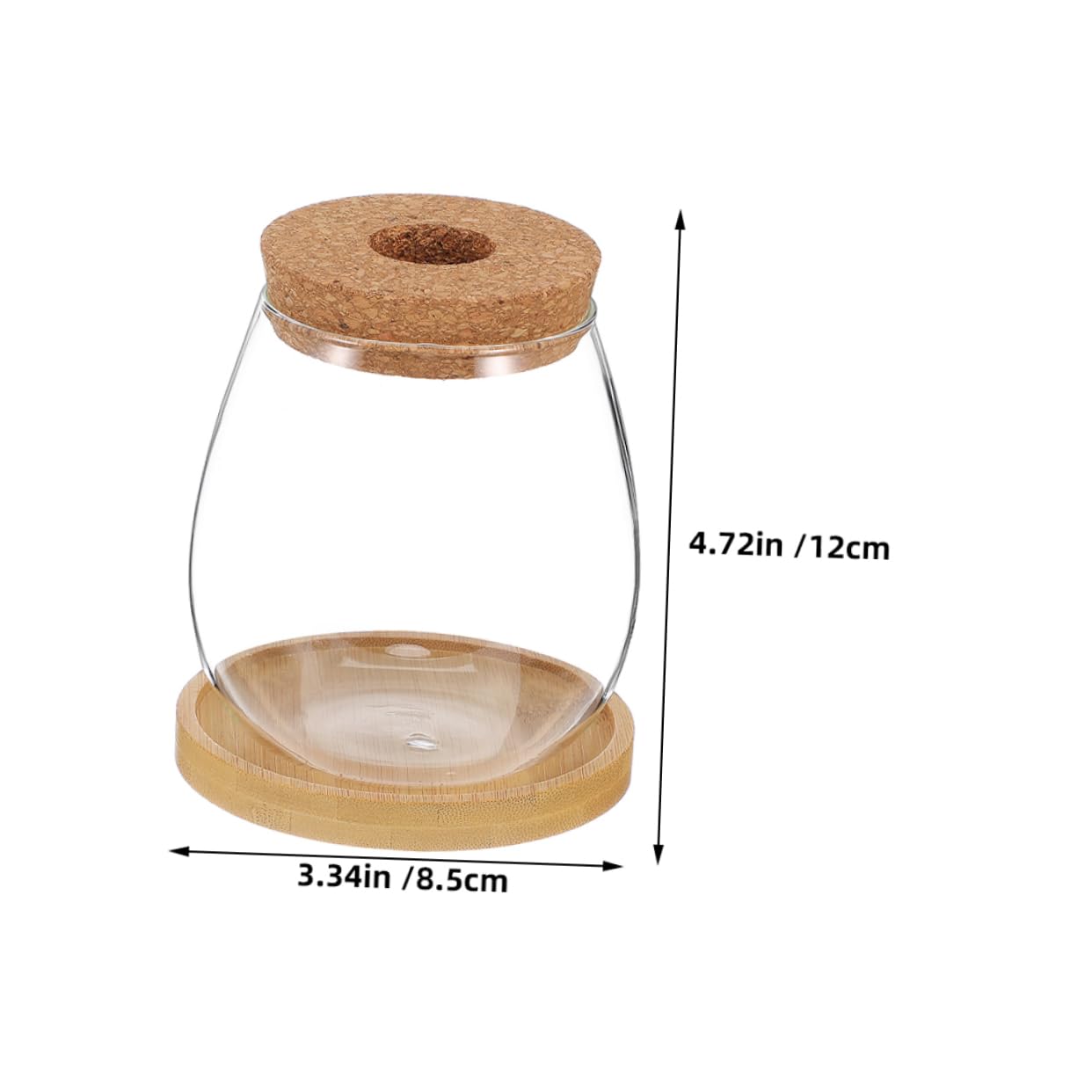 Gatuida 2ensembles Vase De Propagation Eau Verre Transparent Lot de Pots Hydroponiques pour Plantes Intérieur avec Support De Table