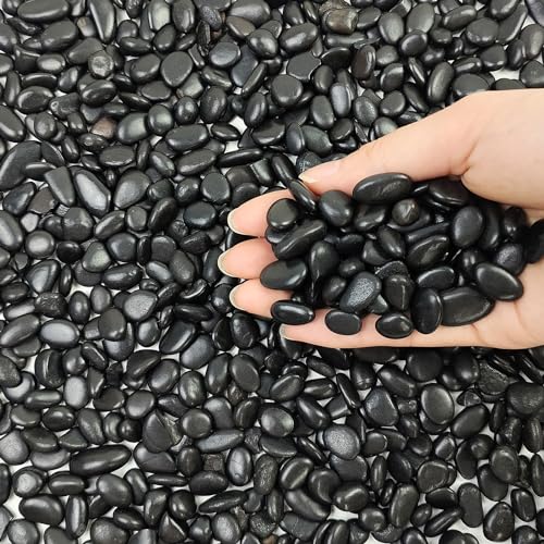 Image of FANTIAN 10 lbs Small Black Pebbles for Indoor Plants. 3 /8 inch Decorative Black River Rocks for Succulent Potted Plant, Vase, Landscaping and Outdoor Garden Rocks