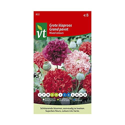 Pavot Mixed colours Graines - Grandes fleurs de couleurs variées