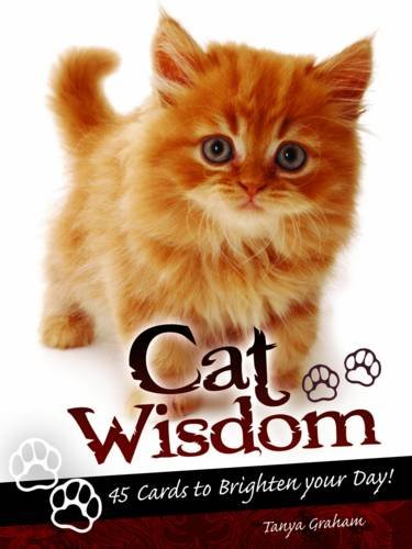 Cat Wisdom Cat Wisdom