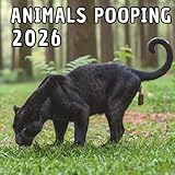 Independently published