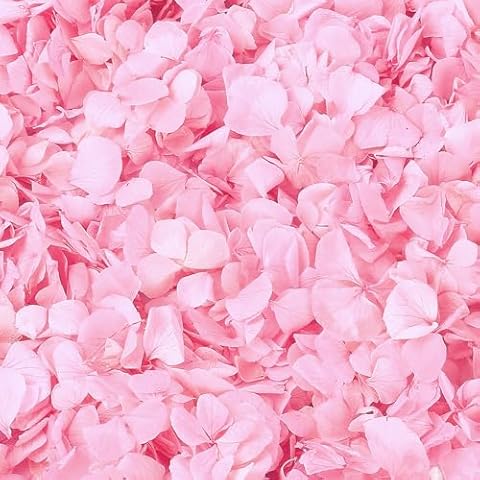 1500 Pcs Natural Pink Hydrangea Petals Set Cover