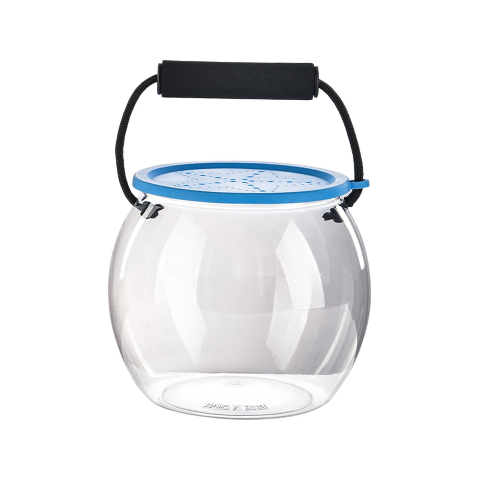 Kleines Aquarium Zum Mitnehmen