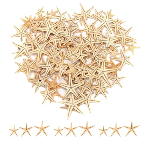NHPY Lot de 50 étoiles de mer de 3 à 5 cm pour décoration de fête à thème de plage, décoration d'intérieur, bricolage, décoration de mariage,...