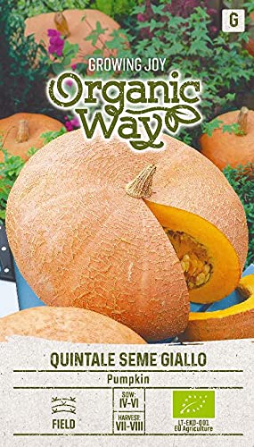 Organic Way | KĆ RBIS QUINTALE SEME GIALLO des Graines | Graines de Légumes | Graines de Citrouille | Graines de Plantes | Graines de Jardin | 1 Paquet