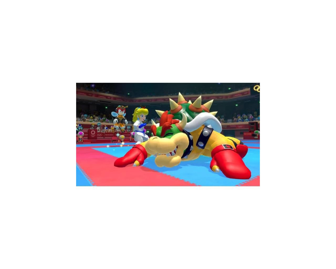 Mario & Sonic at the Olympic Games Tokyo 2020 [Importación francesa]